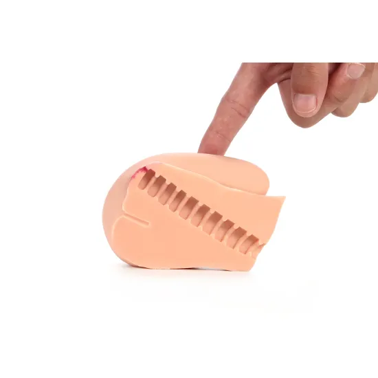 باسن ویبره - 3